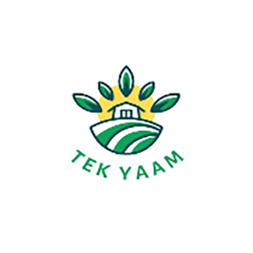 tek yam